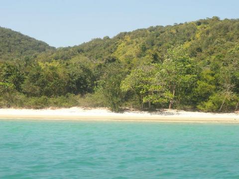 Praia das Palmas
